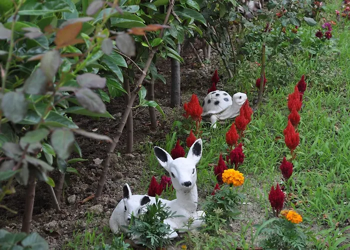 מלון Altinkum Tatil Konaklari *